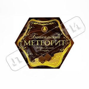 Конф. 170г Байкальский метеорит АМТА